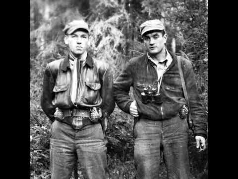 Видео: «Вооруженное антисоветское сопротивление в Литве» — Андрюс Тумавичюс | лекция 1, часть 3/3