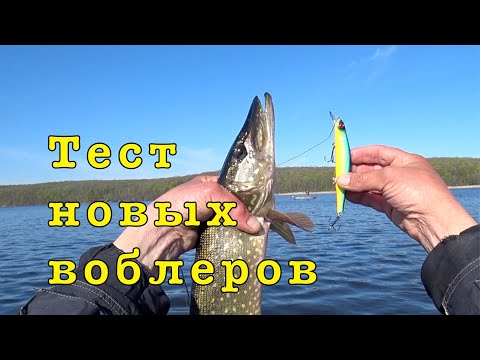 Видео: Первая ВОБЛЕРНАЯ рыбалка в сезоне. Тестирую новые воблеры.
