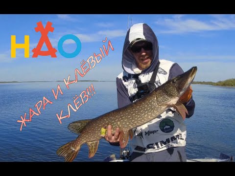 Видео: ЖАРА НА РЫБАЛКЕ!!! КЛЁВЫЙ КЛЁВ!!! ДИКИЕ АТАКИ ЩУКИ и ОБИДНЫЙ СХОД!!!
