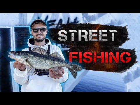 Видео: ✅ Много судаков в Киеве! Наловил на попсовом месте ✅