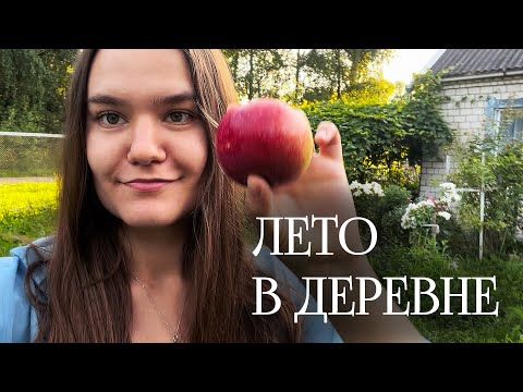 Видео: Собираем грибы🌲🍄 Едем на озеро, Жарим рыбу | Лето в деревне Беларусь 2022