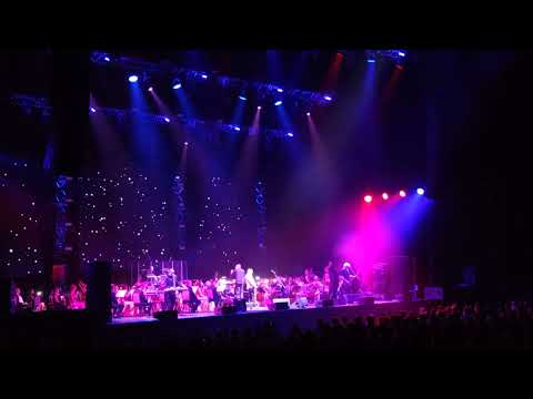 Видео: Пикник с оркестром - Танго «Чёрная каракатица» 01.06.2024 г. Москва