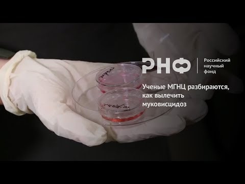 Видео: Ученые МГНЦ разбираются, как вылечить муковисцидоз