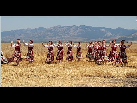 Видео: Откри се жътвата в Сливенско: Бог напред, ние след него