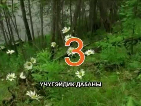 Видео: Сахалыы караоке 5 07