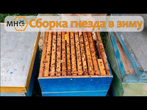 Видео: Как мы собираем гнездо пчел в зиму