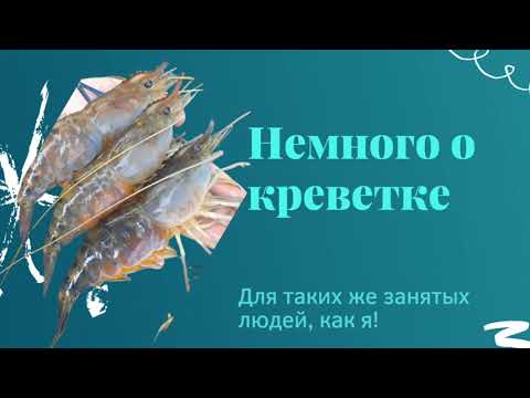 Видео: Немного о креветке. Фишка о линьке.