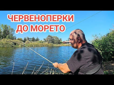 Видео: Риболов на плажа на Шкорпиловци до естакадата! Червеноперки на плувка!