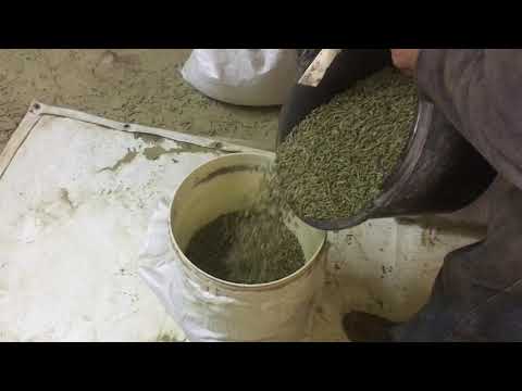 Видео: Твердый Комбикорм Для Кроликов! Гранулятор DR3R 300 Пошла Уже Третья Матрица 800000 кг Спустя Rabbit