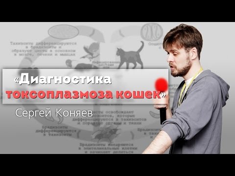 Видео: Диагностика токсоплазмоза кошек