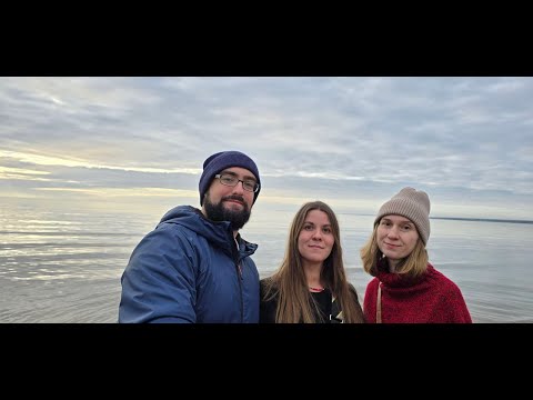 Видео: Покупка и ремонт апартаментов