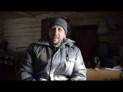 Видео: Безметёлочное содержание пчёл.