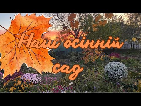 Видео: Наш осінній сад