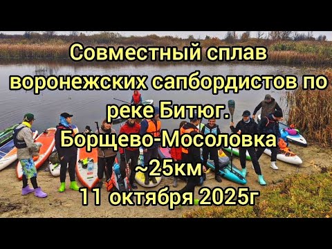 Видео: Сплав на сапбордах по Битюгу 11.10.25 #сапборд