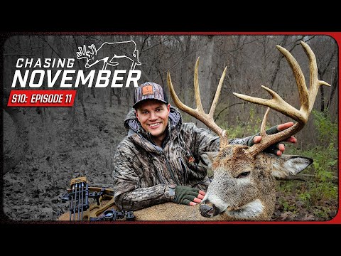 Видео: Эпизод 11: Идеальная охота на лесной гон, появление нового гигантского оленя | В погоне за ноябрь...