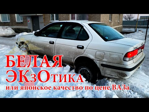 Видео: Белая ЭКзОтика: NISSAN SUNNY на полном приводе | Диман АвтоПрофи