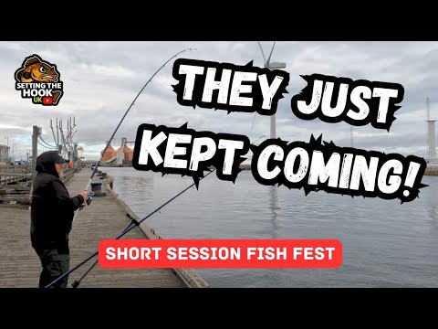 Видео: Блайт-Харбор – Рыбалка в Северо-Восточном море – Нортумберленд