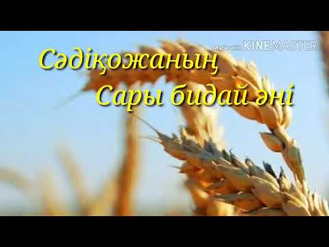 Видео: Сары бидай