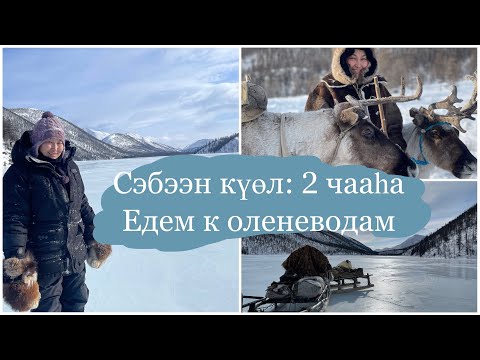 Видео: Сэбээн күөл-2 чааһа. Таба ыстаадатыгар айан/ Едем на буранах в оленеводческое стадо