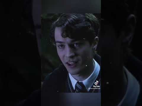 Видео: гарри поттер в тик ток