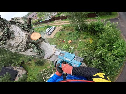 Видео: Спилил четыре дерева частями на одном заряде | Аккумуляторная пила Makita UC004G