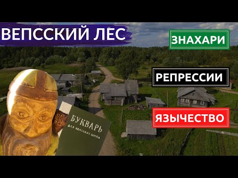 Видео: Вепсы. Колдуны вместо врачей. Запрещённый язык. Параллельный мир в 350км от Питера. Другой Петербург