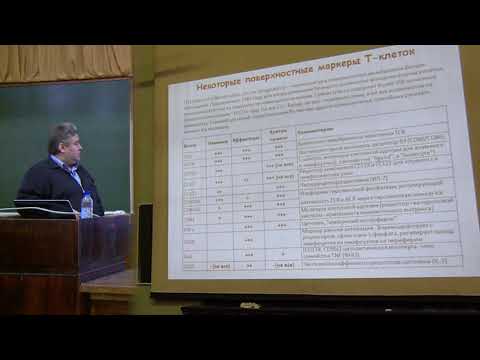 Видео: Купраш Д. В. - Иммунология - 4. Лимфатическая система