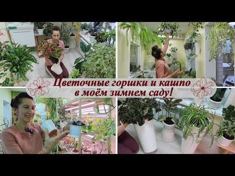 Видео: Цветочные горшки и кашпо в моём зимнем саду! Какие понравились больше всего в этом году?!