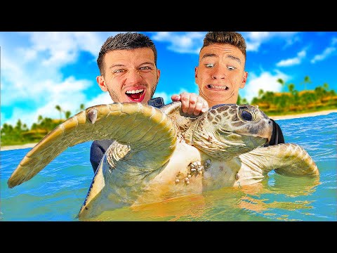 Видео: ЛОВИМ ГИГАНТСКИ КОСТЕНУРКИ НА ЕКЗОТИЧЕН ОСТРОВ!