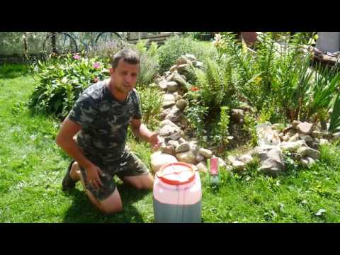 Видео: ВИНО ИЗ ЧЕРНОЙ СМОРОДИНЫ ЧАСТЬ 2