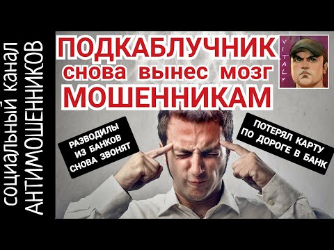 Видео: Подкаблучник вынес мозг мошенникам /СКАМ