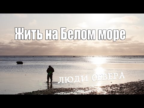 Видео: Жить на Белом море