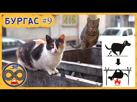 Видео: Обзор недвижимости в Бургасе. Особенности жизни в Болгарии/ Прогулки по прибрежному парку