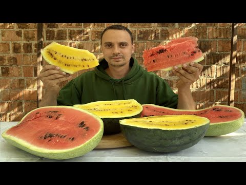 Видео: Оце так кавуни! Секрети вирощування кавунів та динь