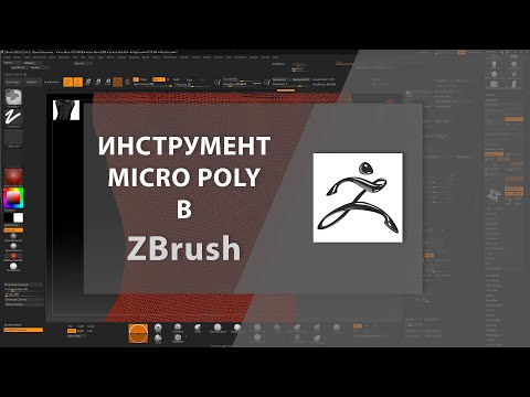 Видео: Инструмент MICRO POLY в ZBrush