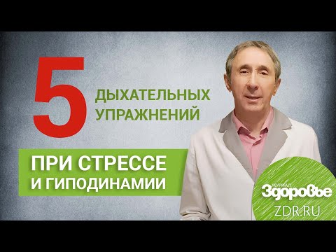 Видео: 5 Дыхательных упражнений Стрельниковой|Журнал ЗДОРОВЬЕ