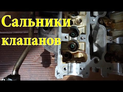 Видео: Соскакивающие сальники клапанов решение OPEL Omega x25xe