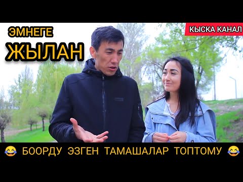 Видео: СУПЕР ТАМАШАЛАР ТОПТОМУ!!!