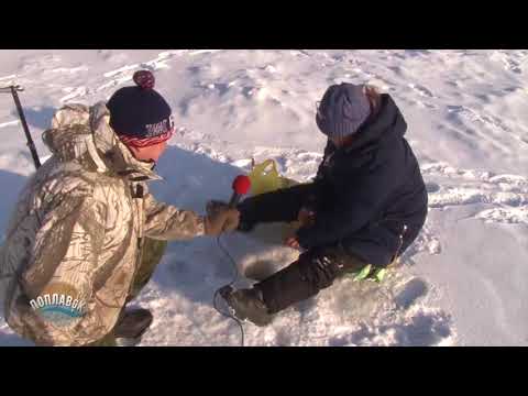 Видео: Поплавок оз  Щучье 2018