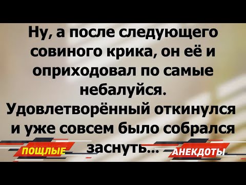 Видео: Самые ПОШЛЫЕ анекдоты 2024 / Улётная ПОДБОРКА