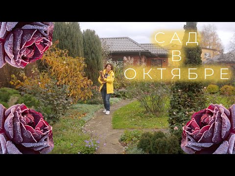 Видео: Сад в Октябре I Сад Людмилы Кудасовой