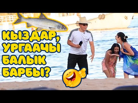 Видео: Байке үйлөнгөм! Нике түнгө бара албай жатам 😜