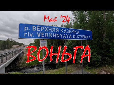 Видео: Воньга, май '24