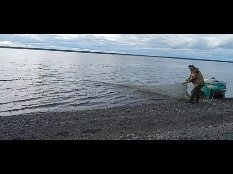 Видео: Рыбалка неводом,есть БОНУС!!!