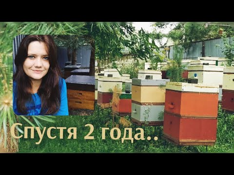 Видео: Пасека спустя два года )