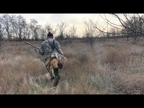 Видео: ОХОТА НА ВОЛКА, трофейная! Итог волк и 5 лис | Wolf hunting 2021