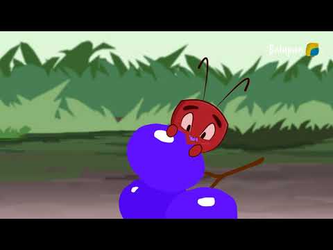 Видео: Қызықты энциклопедия. Орман