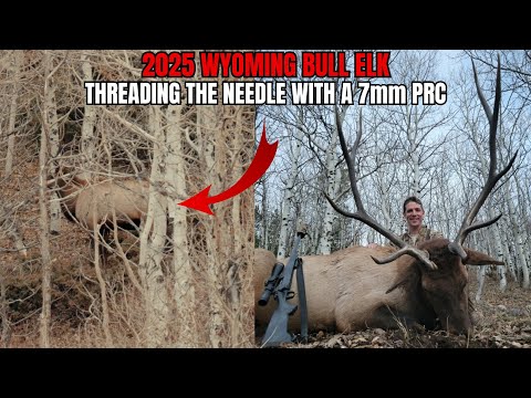 Видео: 7-мм охота на лосей PRC | R&K Hunting Company, Вайоминг, охота на лосей