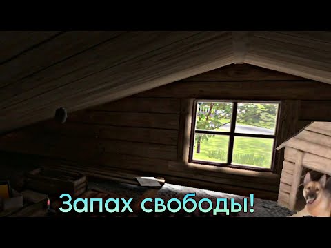 Видео: Побег через крышу ► SchoolBoy Runaway #3