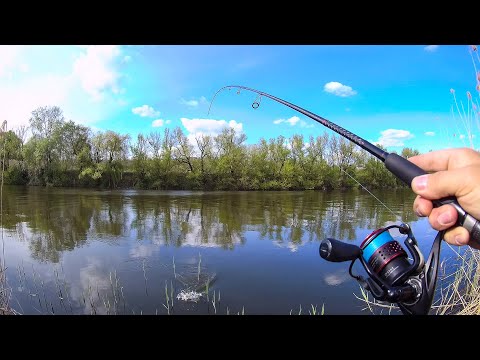 Видео: Вечерняя рыбалка на Южном Буге.